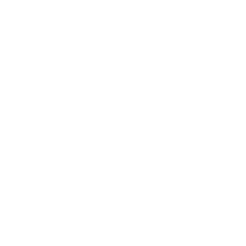 HIDDEN SOCIETY